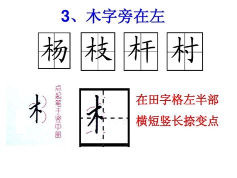 木部首的字有哪些|木字旁的字有哪些